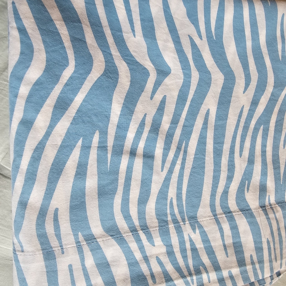 Pottery Barn Teen Blue and White Zebra Stripe XL Twin Set